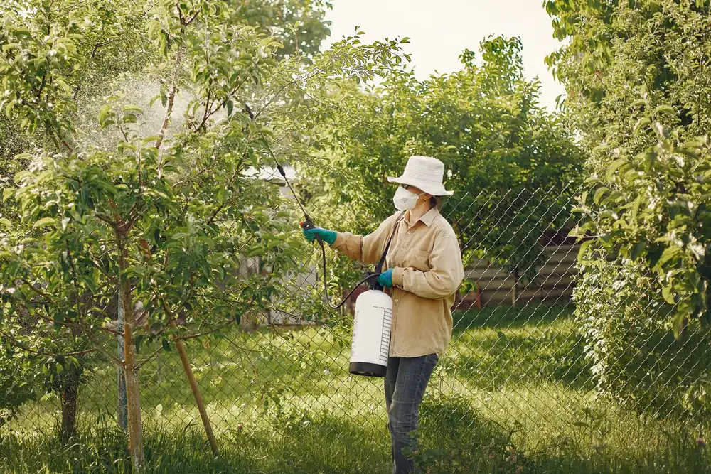 A pest control technician treating trees along a residential property line with a pump sprayer